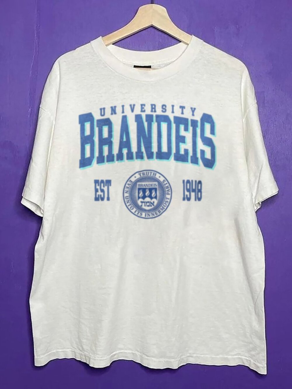 Vintage Style Brandeis University Shirt, Retro Brandeis University Unisex Shirt